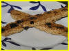 Raisin chocolate biscotti