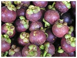 Mangosteen